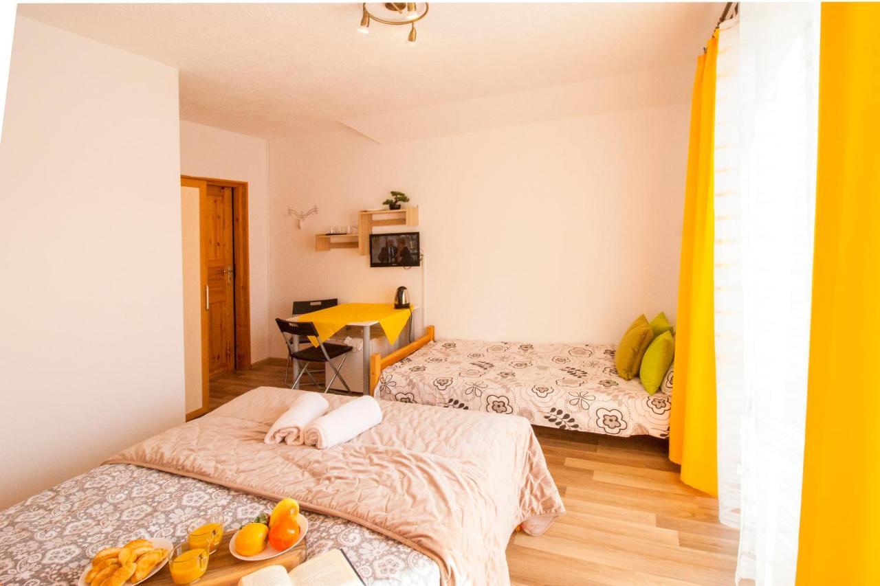 Bieszczadzki Brat Apartamenty Polańczyk Esterno foto